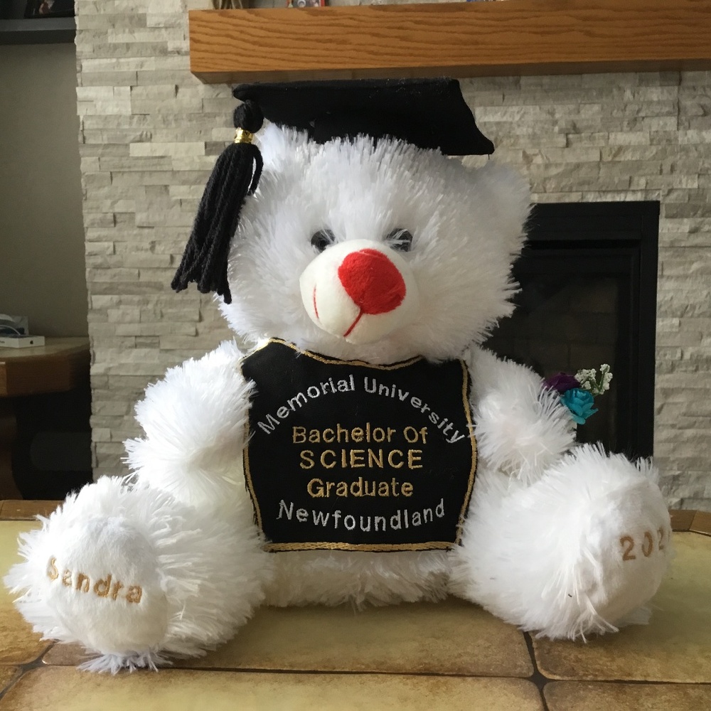 Graduation Bears - Picture 3 of 3